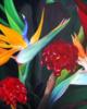 Схема вышивки «Exotic Flowers -Triptych Center»