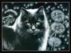 Схема вышивки «Черный кот и одуванчики»