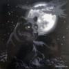 Пантера на фоне луны: оригинал