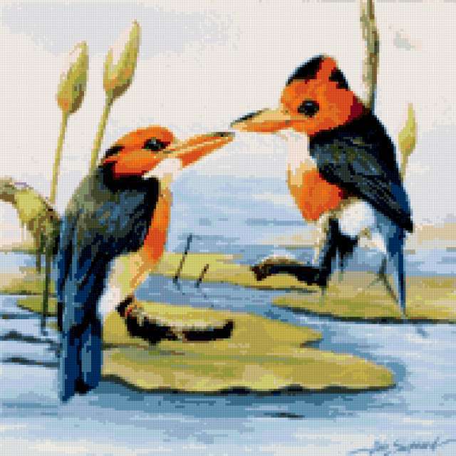 , jivotni, peyzaj, pti4ki