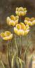 Схема вышивки «Букет Желтых тюльпанов»