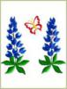 Схема вышивки &laquo;Бабочки и цветы&raquo;
