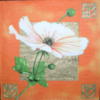 Схема вышивки &laquo;Анемона&raquo;