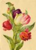 Схема вышивки &laquo;Buket tiulpanov&raquo;