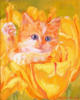 Котёнок в лепестках тюльпана: оригинал