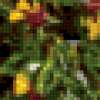 Букет полевых цветов: предпросмотр