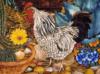 Схема вышивки «Hens and Flowers»