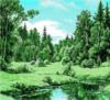 Схема вышивки «Пейзаж с лесным озером»