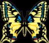 Схема вышивки «Бабочки рисованные»