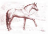 Схема вышивки «Лошадка»