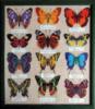 Схема вышивки «Панно бабочки»