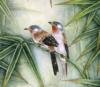 Схема вышивки «Птички в пальмовых листьях»