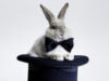 Схема вышивки «Кролик в шляпе»