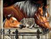 Схема вышивки «Лошадки и котёнок»