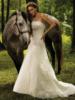Схема вышивки «Невеста с лошадью»