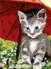 Схема вышивки «Котёнок под зонтиком»