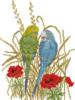 Схема вышивки «Волнистые попугайчики»