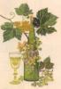 Схема вышивки «Белое вино»
