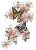 Схема вышивки «Бабочки на цветке»