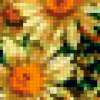 Ромашка и цветы шиповника: предпросмотр
