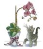 Схема вышивки «Кот и орхидея»