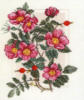 Схема вышивки «Цветы шиповника»