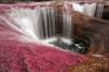 Схема вышивки «Розовый водопад»