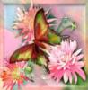 Бабочка на цветке акварель: оригинал