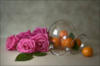 Схема вышивки «Натюрморт роза и мандарин»