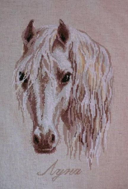 Лошадь, лошадь, конь, животные