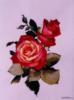 Схема вышивки «Розы»