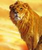 Лев - царь зверей: оригинал