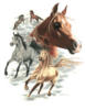 Схема вышивки &laquo;Кони&raquo;