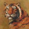 Подушка "Тигр": оригинал
