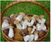 Схема вышивки «Лукошко с грибами)»