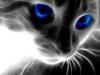 Схема вышивки «Кот с васильковыми глазами»