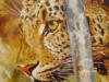 Схема вышивки «Leopard»