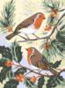 Схема вышивки «Птички и ягодки»