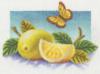Схема вышивки «Лимоны и бабочка»