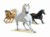 Схема вышивки «Три лошади»