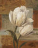 Белые тюльпаны: оригинал