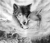 Схема вышивки «Волки, любовь»