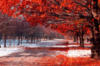 Красная осень: оригинал