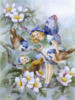 Схема вышивки &laquo;Феи и птичка&raquo;