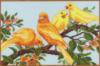 Схема вышивки «Золотые птички»