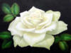 Схема вышивки «Панно "Белая роза"»
