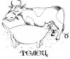 Схема вышивки &laquo;Телец&raquo;