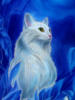 Белый кот: оригинал
