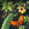 Схема вышивки «Серия Бабочки и цветы 1»