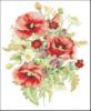 Схема вышивки &laquo;Маки&raquo;